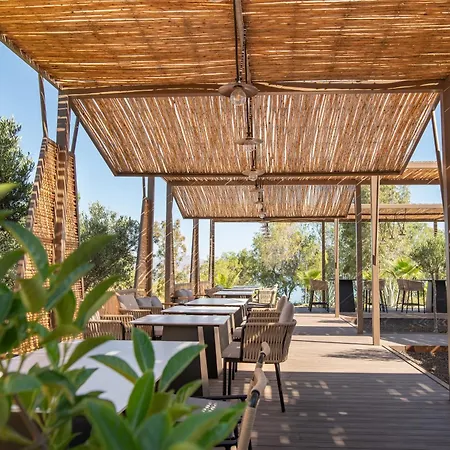 Achilleas Adults Only