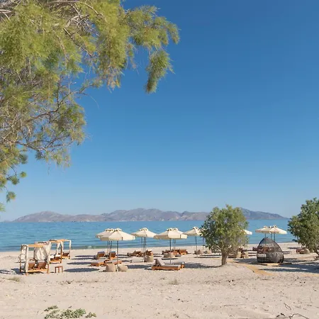 Achilleas Adults Only