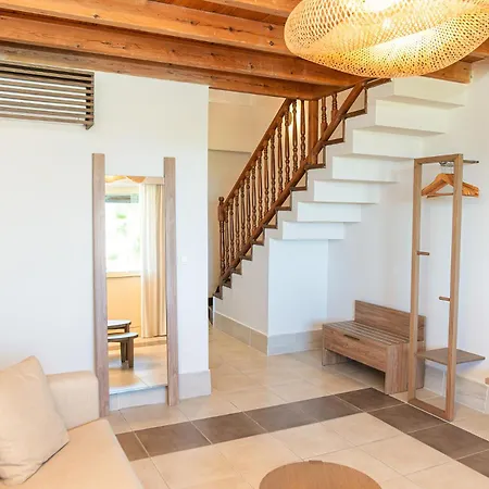 Achilleas Adults Only Masticharion