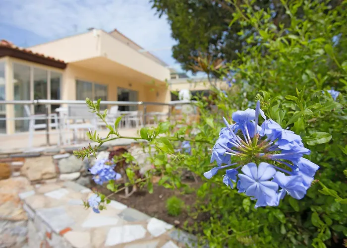 Achilleas Adults Only 4* Mastichari (Kos)