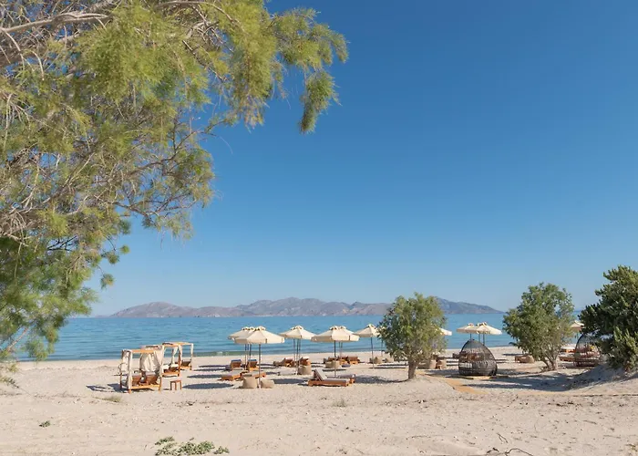 Achilleas Adults Only