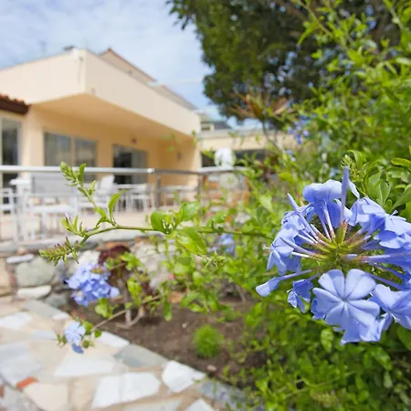 Achilleas Adults Only 4* Mastichari (Kos)